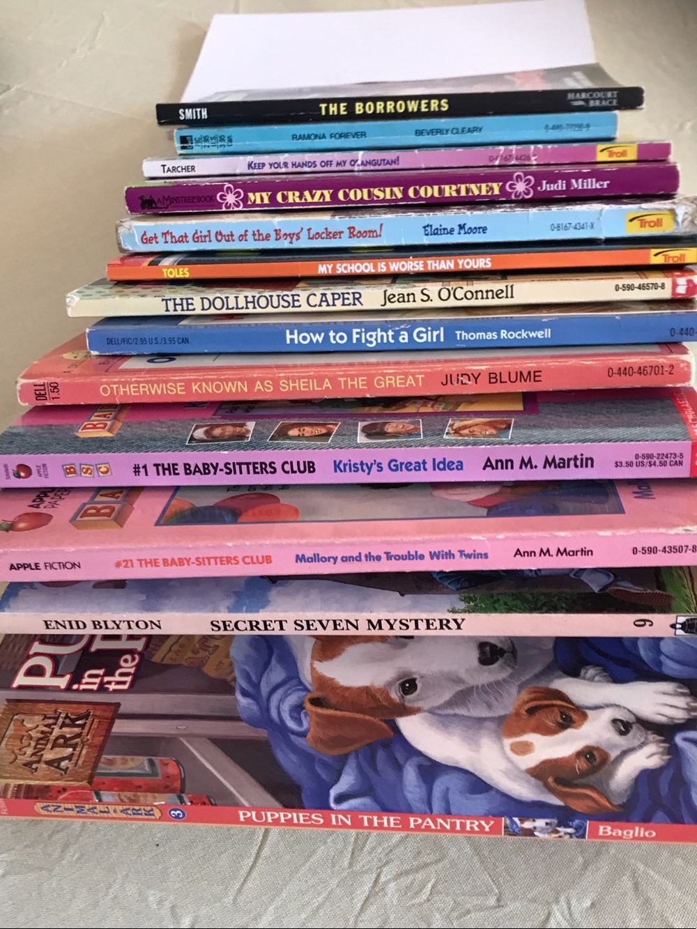 Stack of Kids Paperback Books- great summer reading!